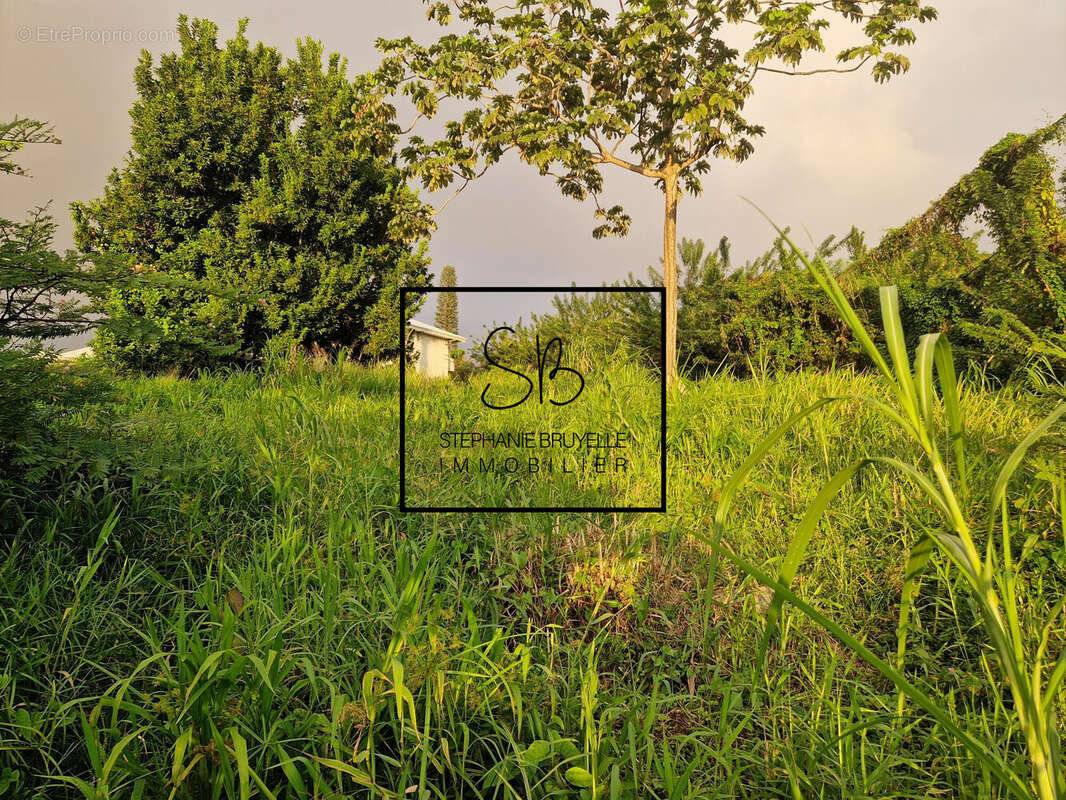 Terrain à LE LAMENTIN