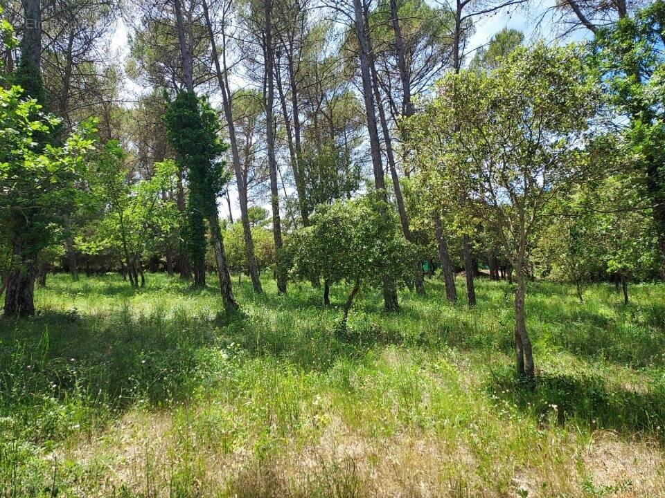 Photo Terrain à Gareoult au prix de 152 000€
