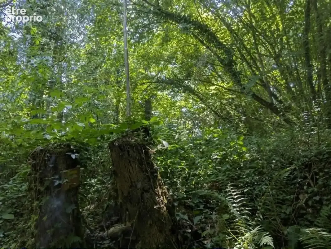 Charmante propriété de campagne avec 5 chambres et terrain - photo 12