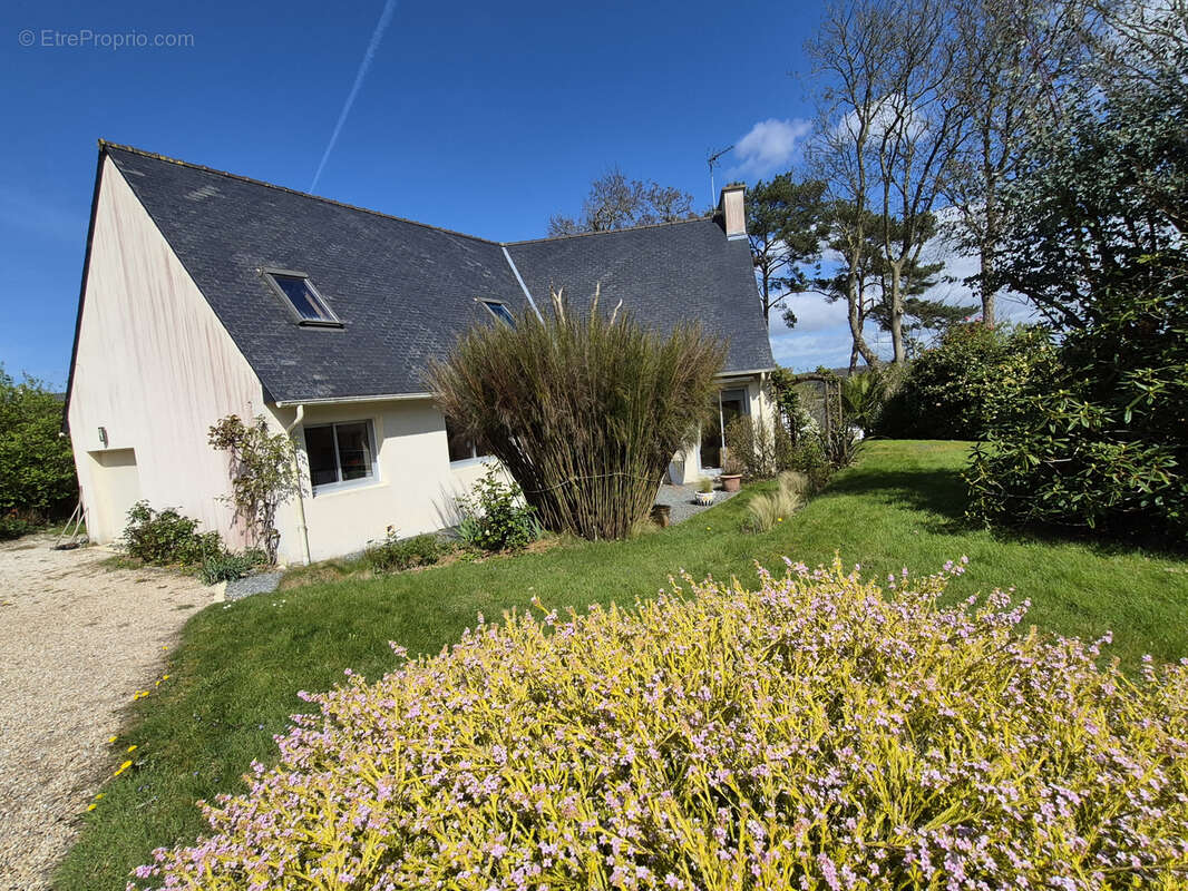 Maison à LOCQUENOLE