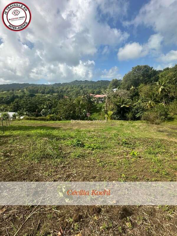 Terrain à LE FRANCOIS