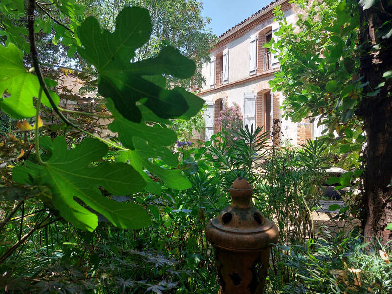 Maison à MONTAUBAN