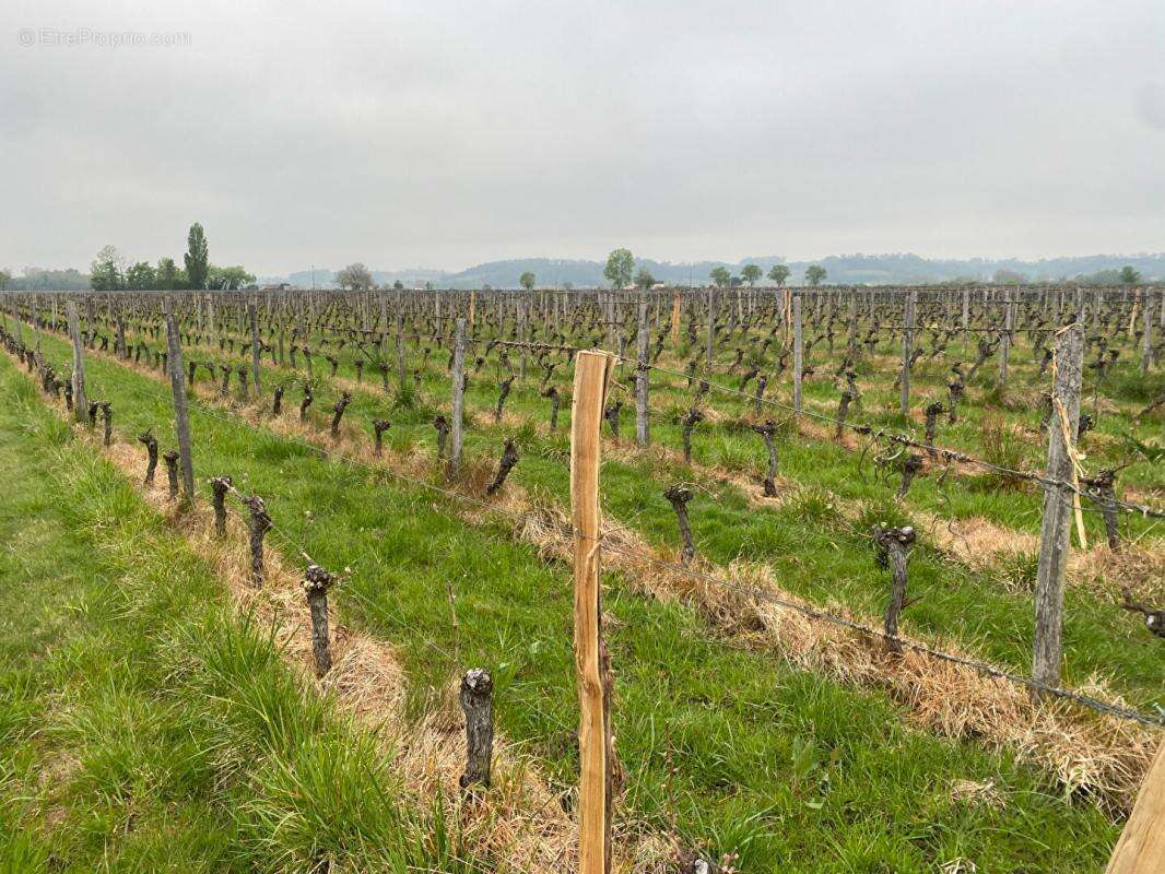 Maison à SAINT-MAGNE-DE-CASTILLON