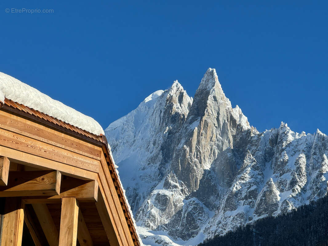 Autre à CHAMONIX-MONT-BLANC