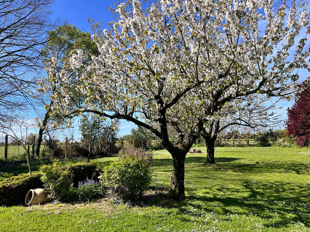 Maison à SAINT-MEDARD-D'AUNIS