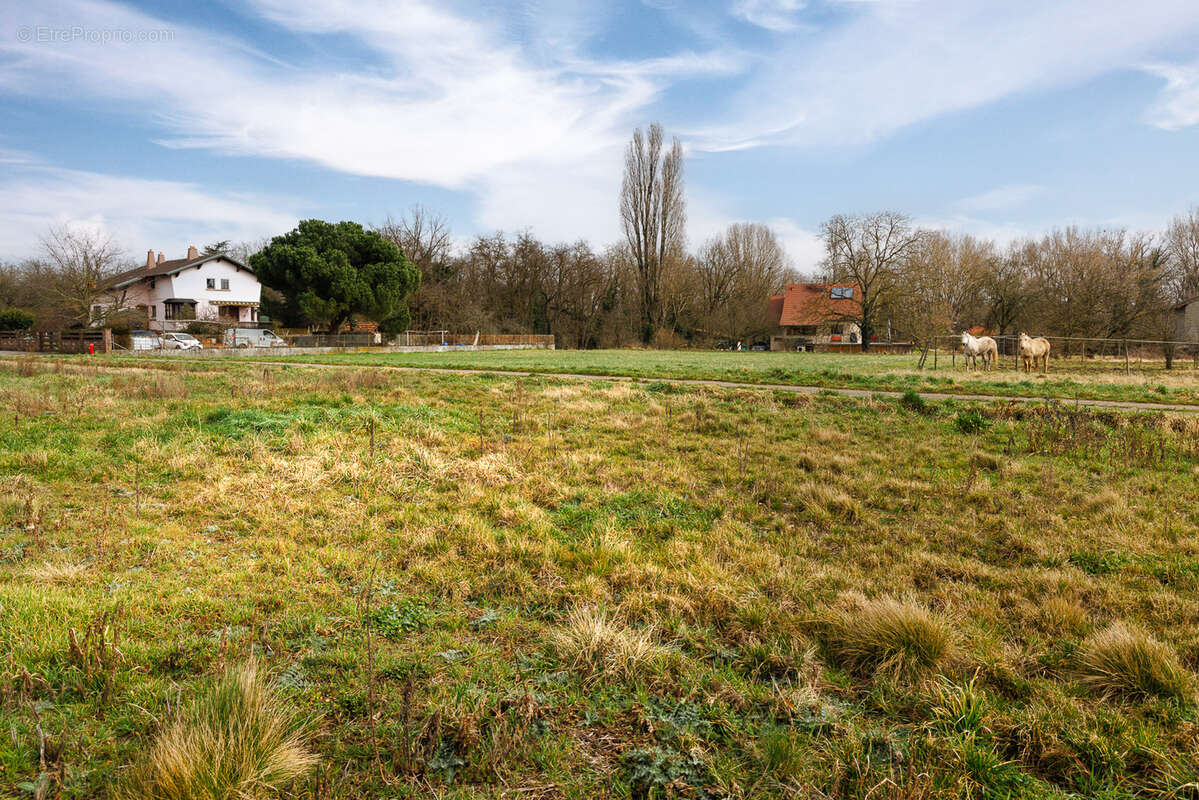 Terrain à NIEDERHERGHEIM
