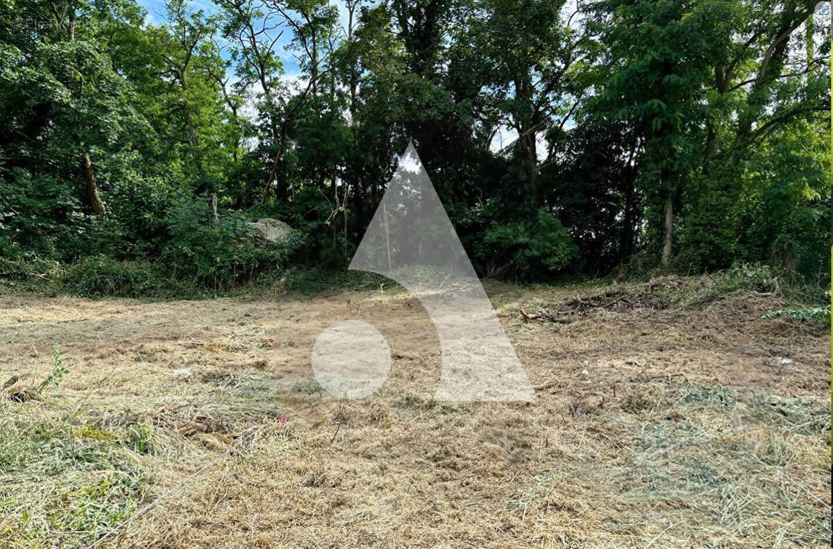 Terrain à BALLANCOURT-SUR-ESSONNE