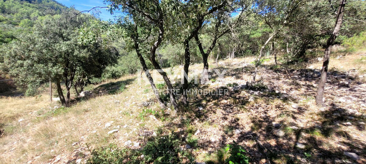 Terrain à SOLLIES-TOUCAS