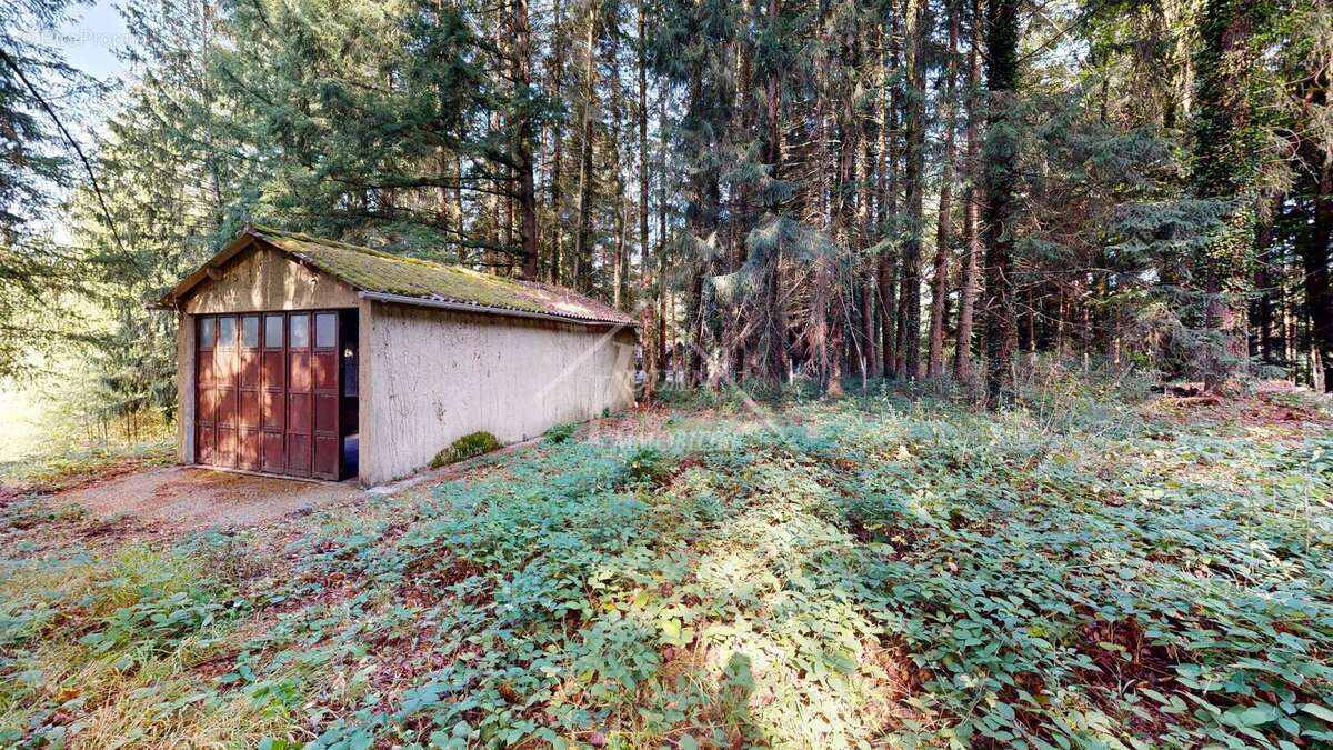 Exclusivite bungalow sur 6000m2 de terrain - photo 10