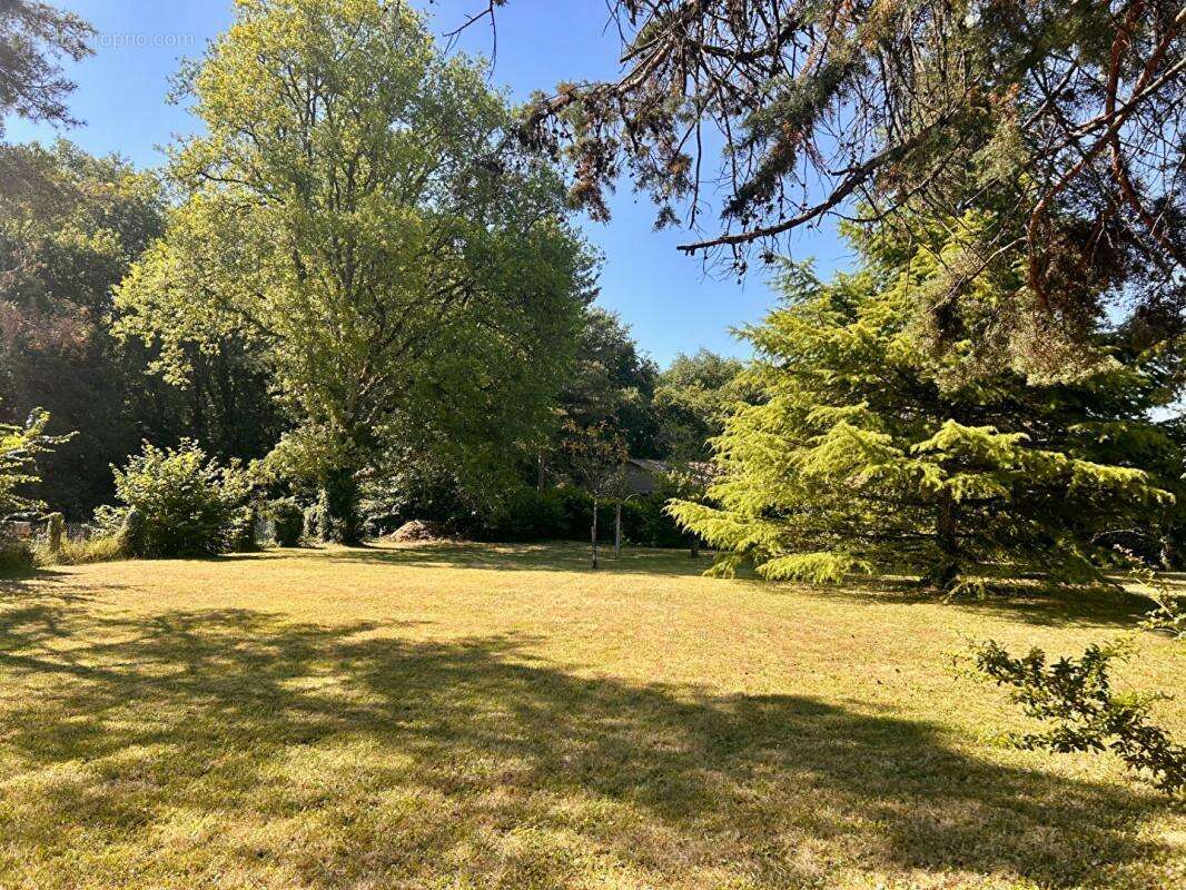 Maison à CHAMPCEVINEL