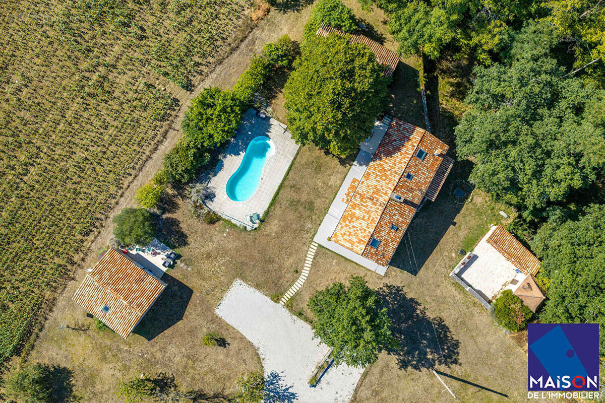 Entre Villeneuve-sur-Lot et Agen, Propriété en pierre avec gîte, piscine et pigeonnier  Dans la campagne venez découvrir cette b - photo 3