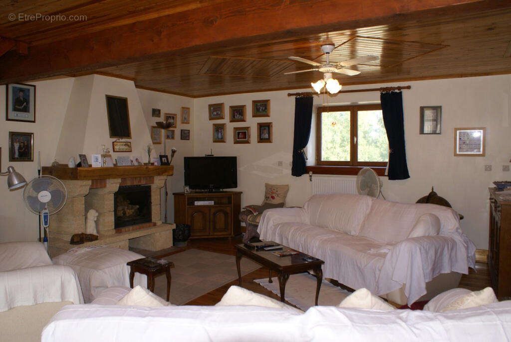 5. salon - Maison à FONTAINE-CHALENDRAY