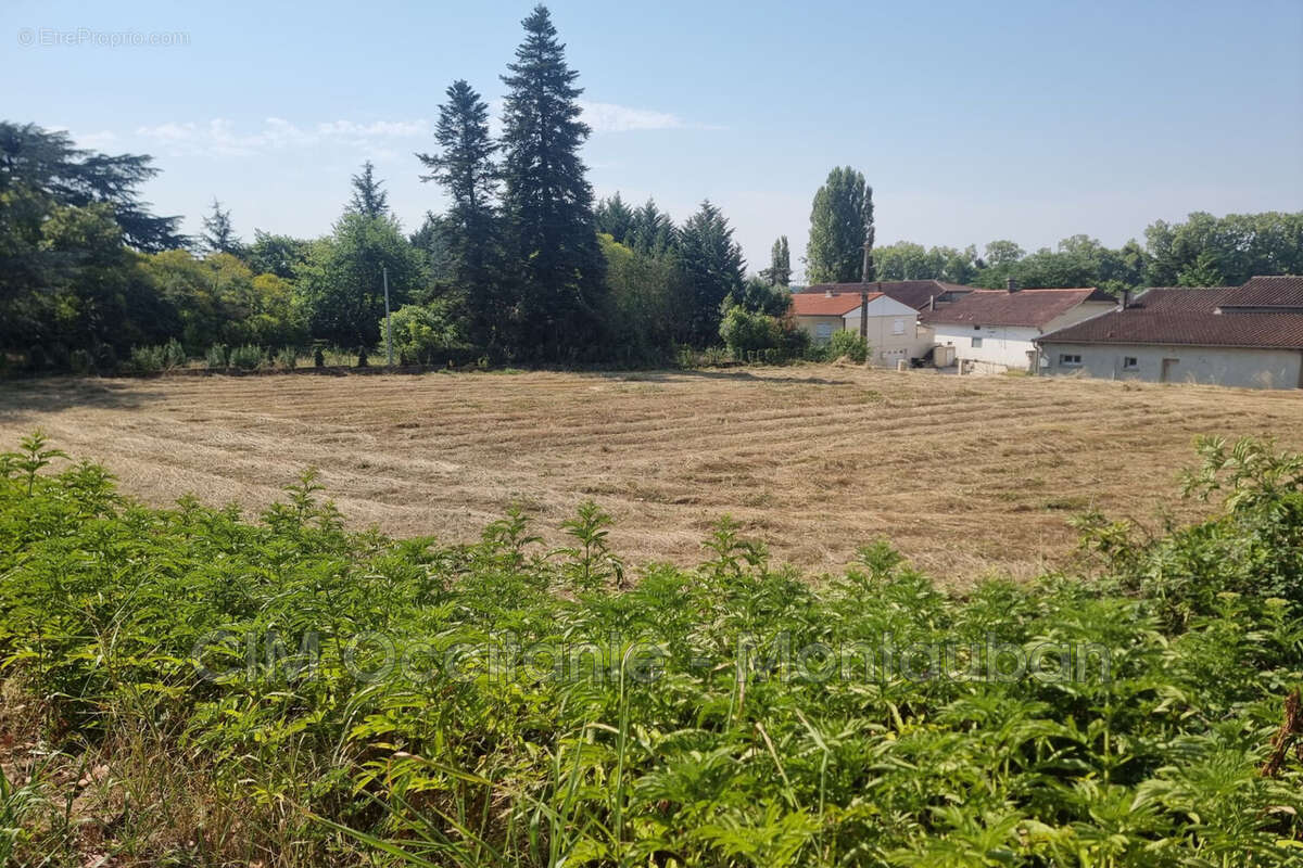 Terrain 2099 m² à Malause  - photo 6