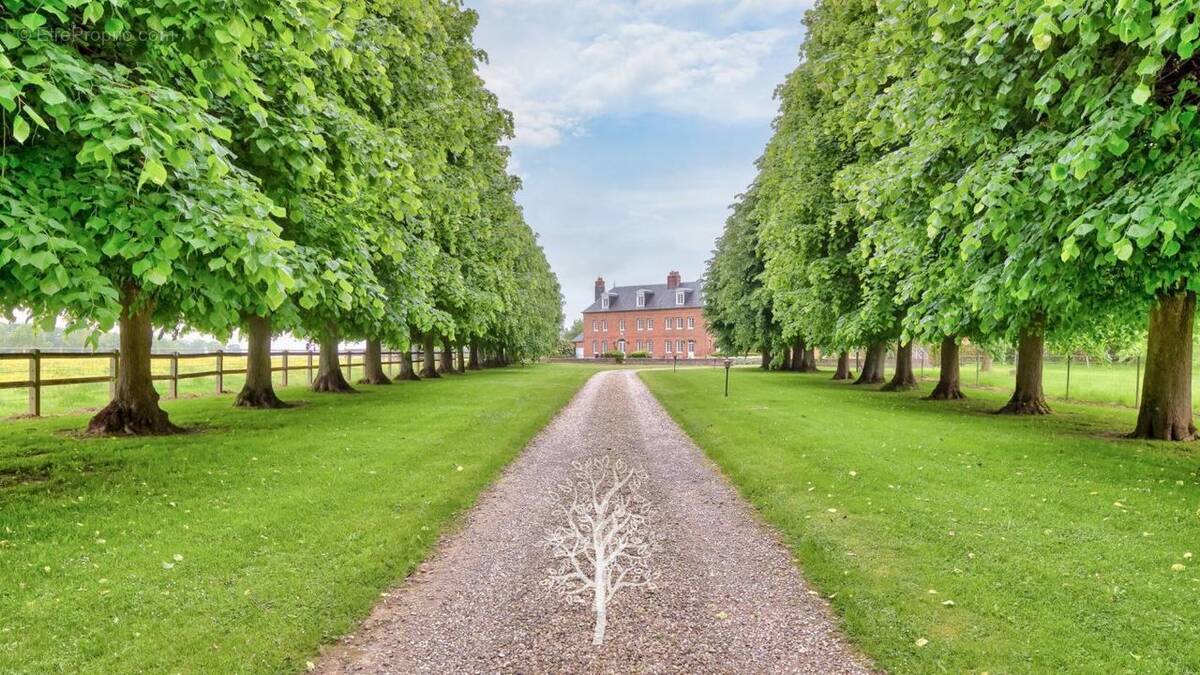Maison à LAMMERVILLE