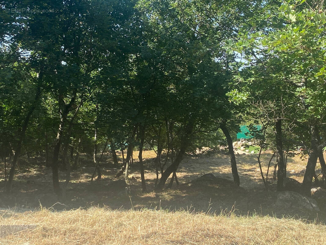 Terrain à SAINT-VALLIER-DE-THIEY