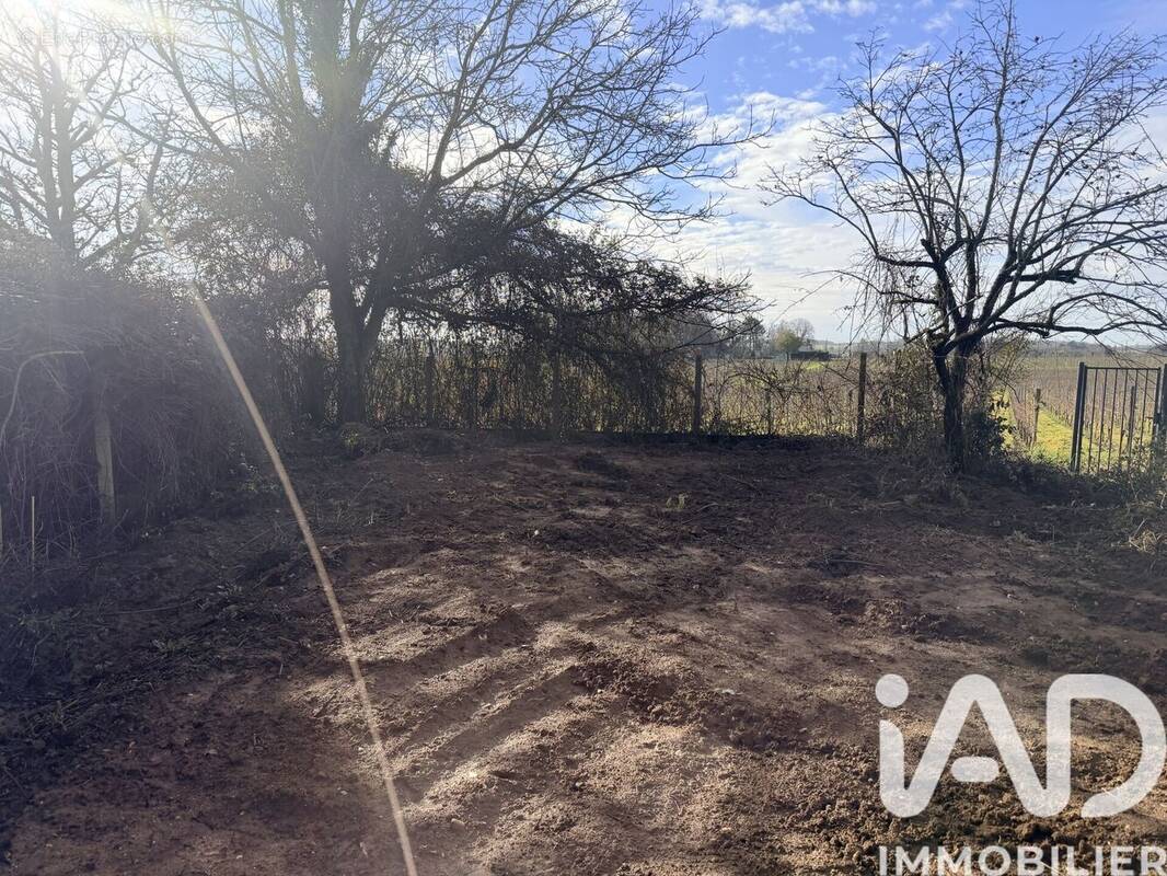 Photo 1 - Terrain à SAINT-GERMAIN-DU-PUCH