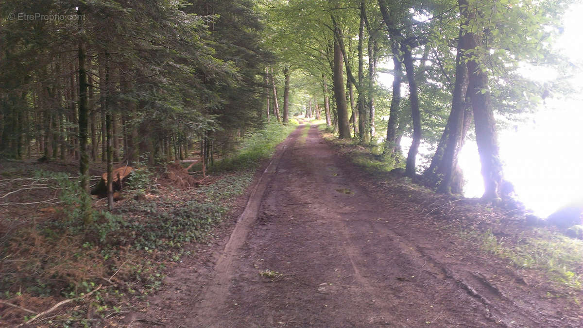 Terrain à PLOMBIERES-LES-BAINS