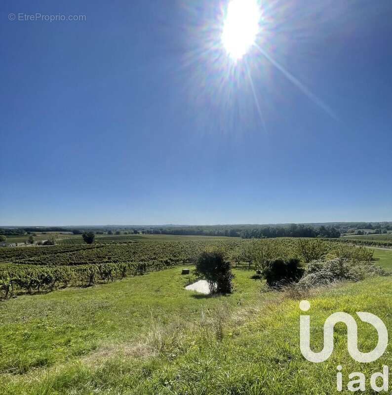 Photo 3 - Maison à COLOMBIER