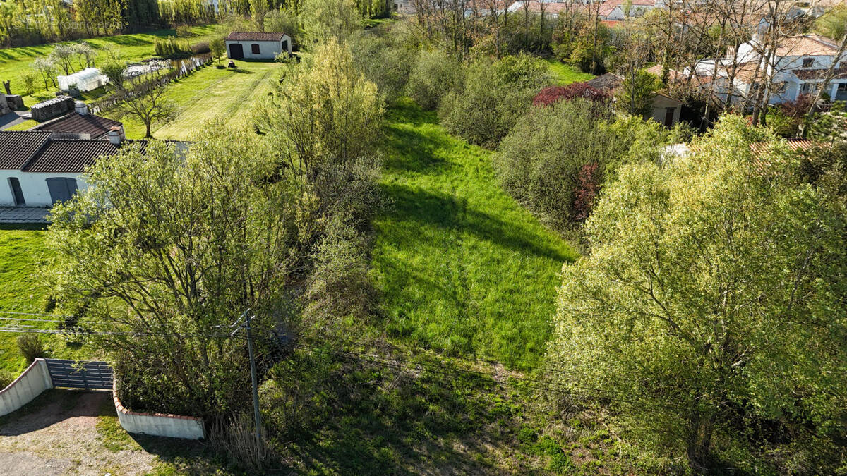 Terrain à LE PERRIER