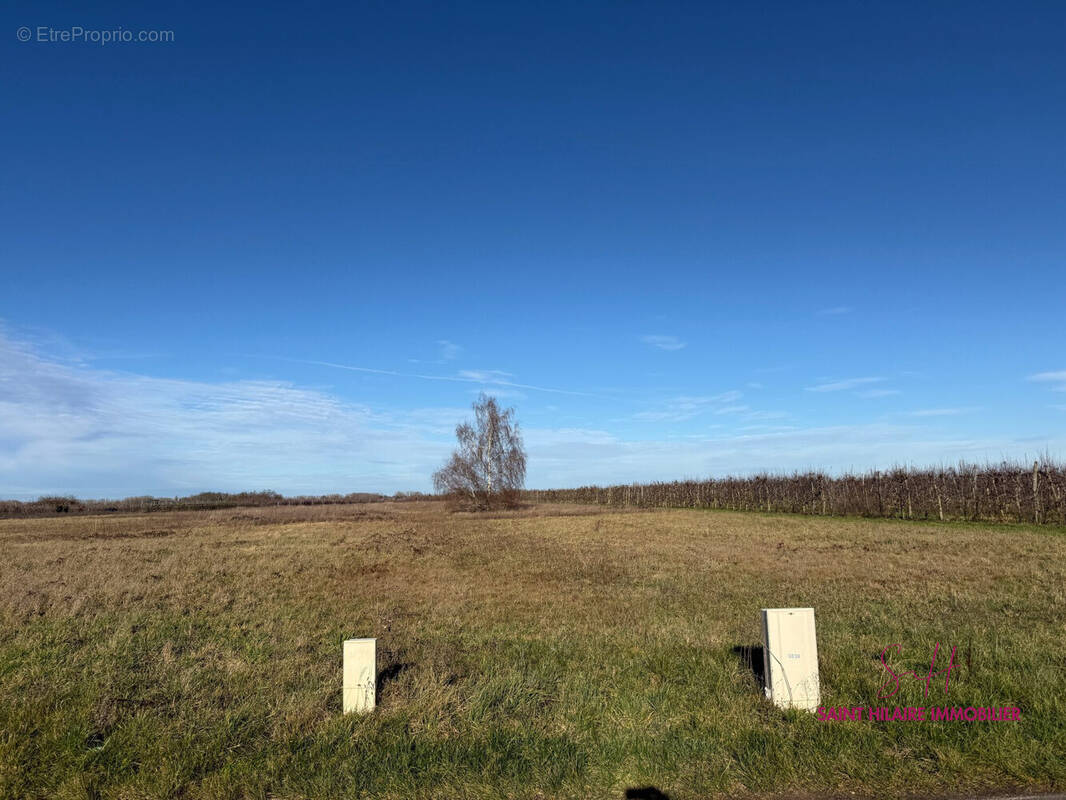 Terrain à MEZIERES-LEZ-CLERY