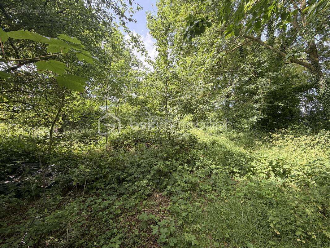 Ensemble immobilier avec rentabilite locative - photo 13