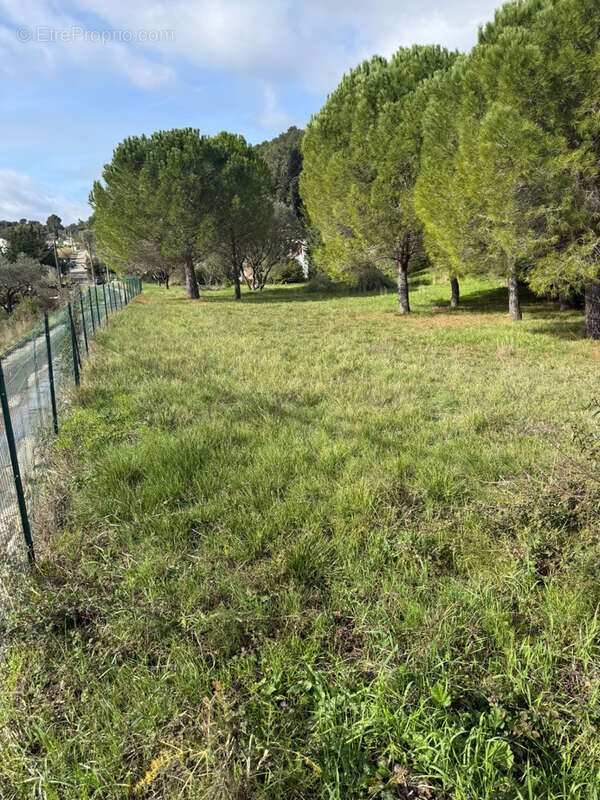 Terrain à CLERMONT-L'HERAULT