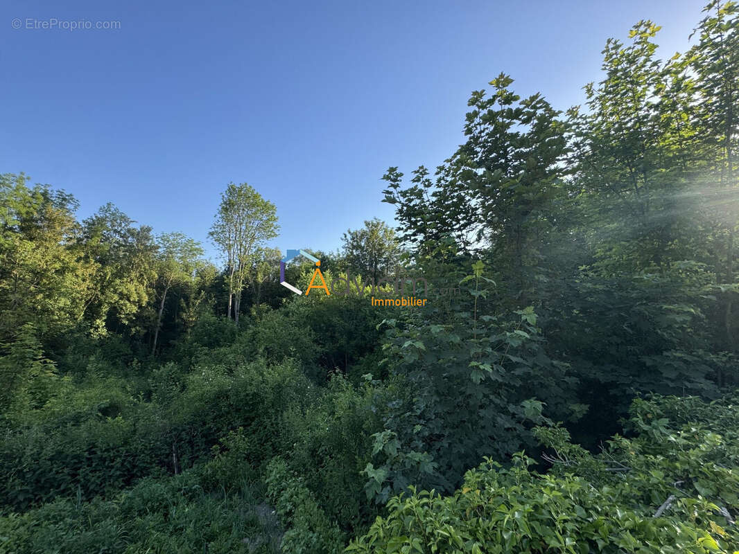 Terrain à BELLEAU