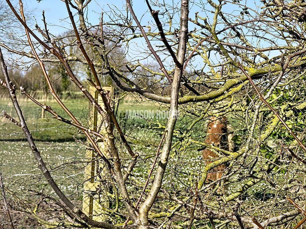 Ancien corps de ferme  en pierres proche baie du Mont St Michel - photo 25