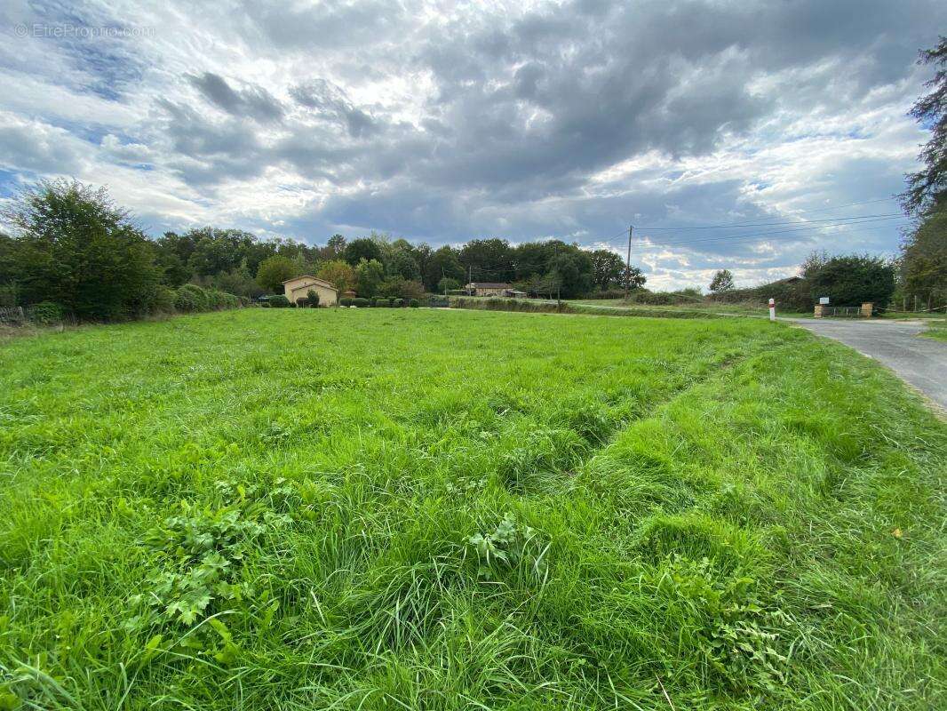 Terrain à LE BUISSON-DE-CADOUIN
