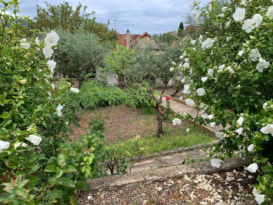 Terrain à MARSEILLE-9E