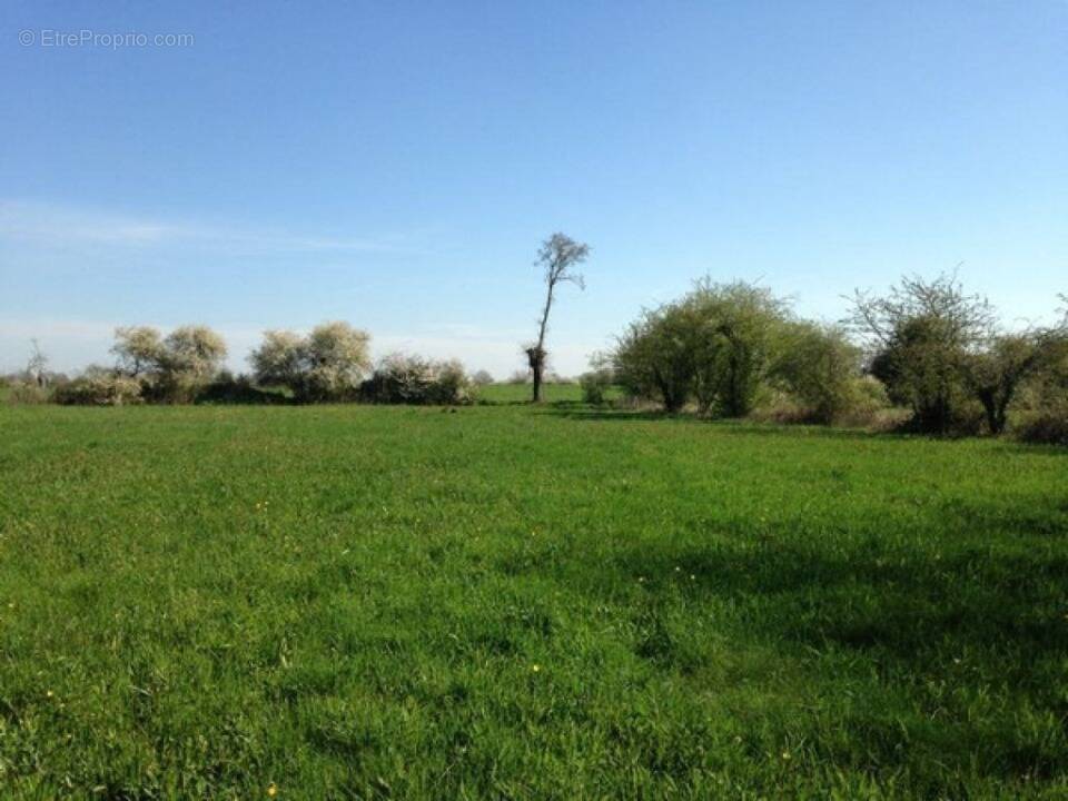 Terrain à VEIGNE