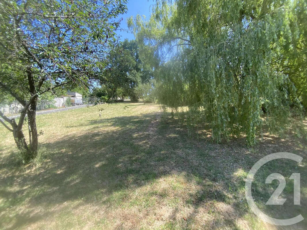 Terrain 1157 m² à Evry-Gregy-Sur-Yerre  - photo 2