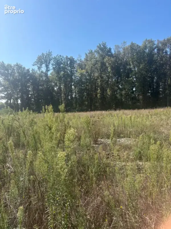 Terrain à GALGON