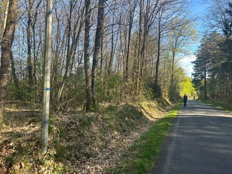 Terrain à LE VIEIL-BAUGE