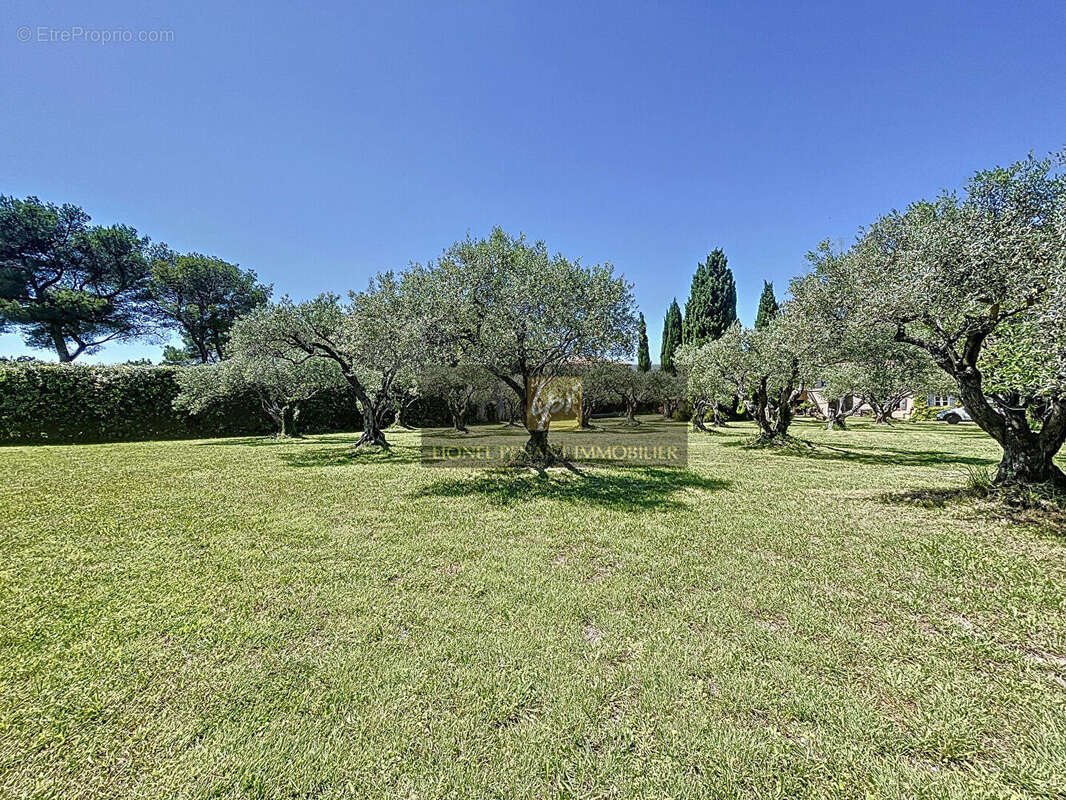 Terrain à PERNES-LES-FONTAINES