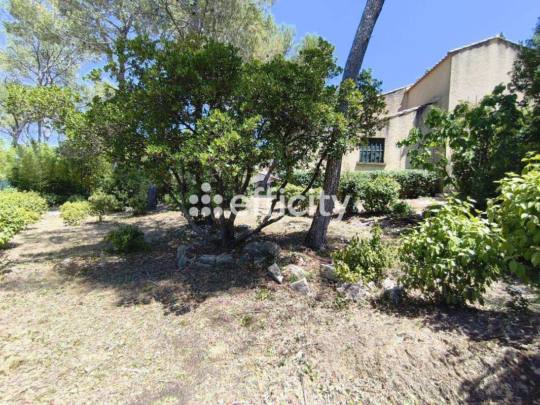 Maison 125 m² à Saint-Clement-De-Riviere  - photo 14