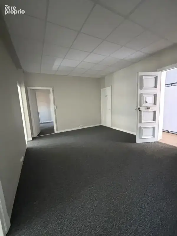 TOULOUSE BAYARD local professionnel 174 m2+grenier - photo 4