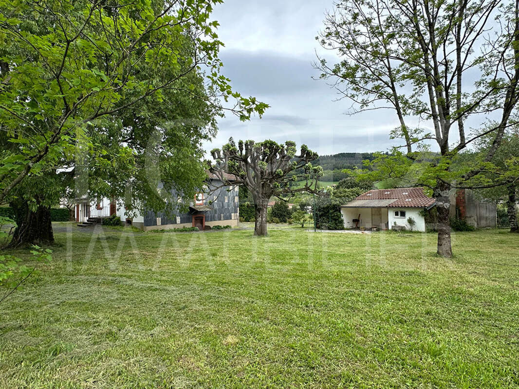 Maison à SAINT-AMANS-SOULT