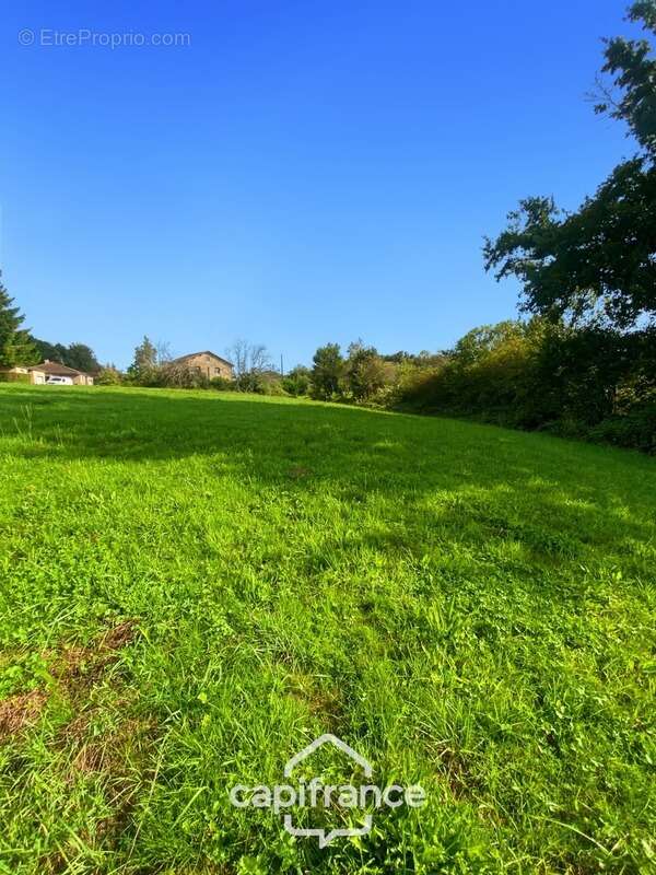 Terrain à vendre  CONDAL (71) - 800m² constructible - photo 3