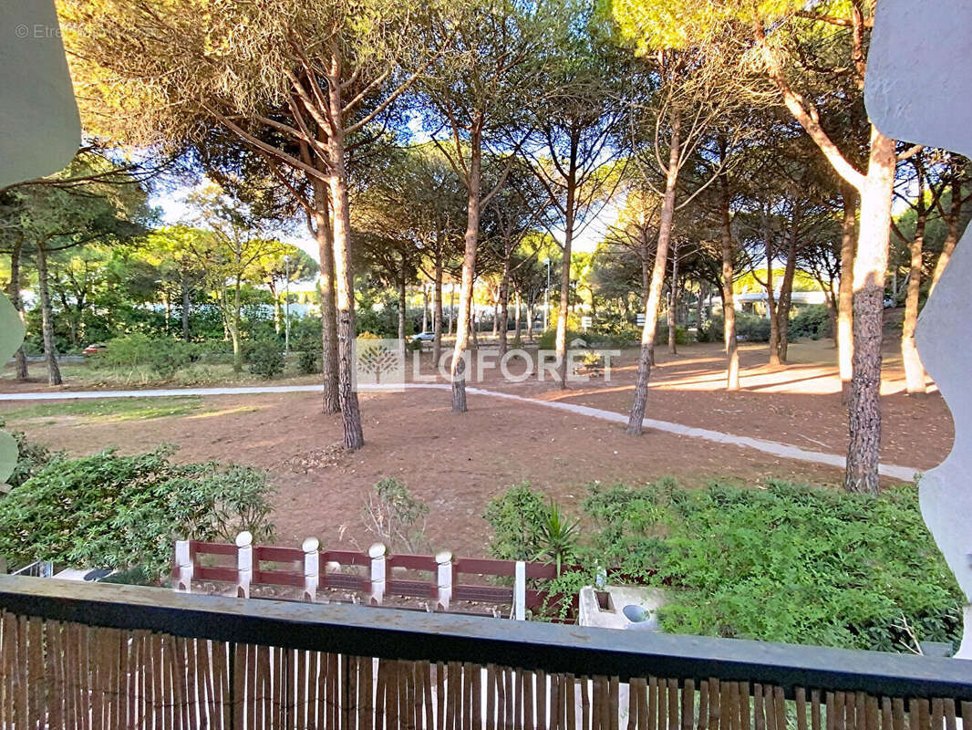 Appartement La Grande Motte 2 pièce(s) 37 m2 - photo 2