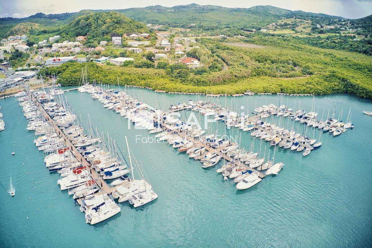 Photo 1 - Appartement à LE MARIN