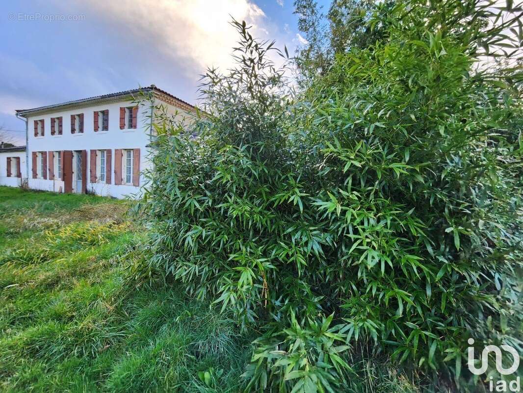 Photo 2 - Maison à GAILLAN-EN-MEDOC