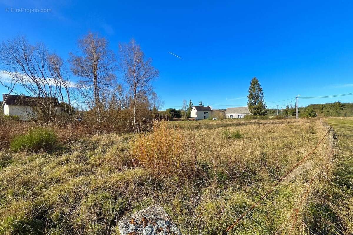 Terrain à SAINT-ALBAN-SUR-LIMAGNOLE