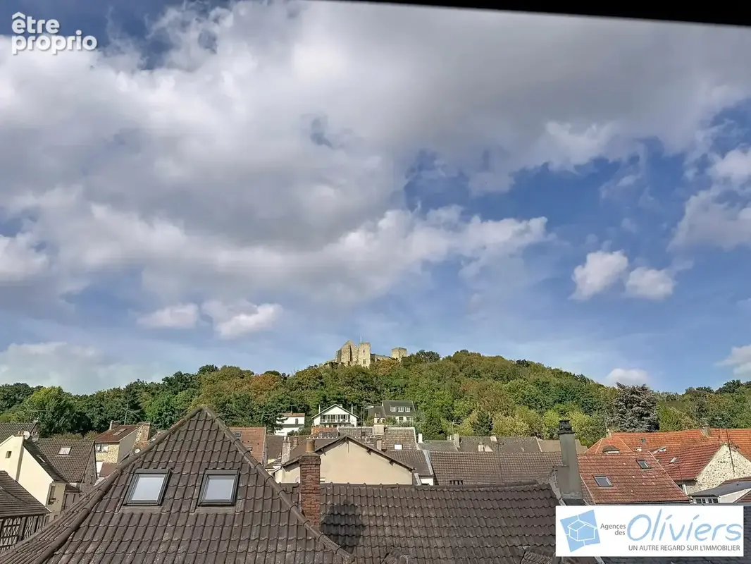 Appartement 1 pièce 22 m² à vendre à Chevreuse (78460) - photo 6