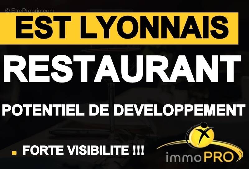 Commerce à CHASSIEU