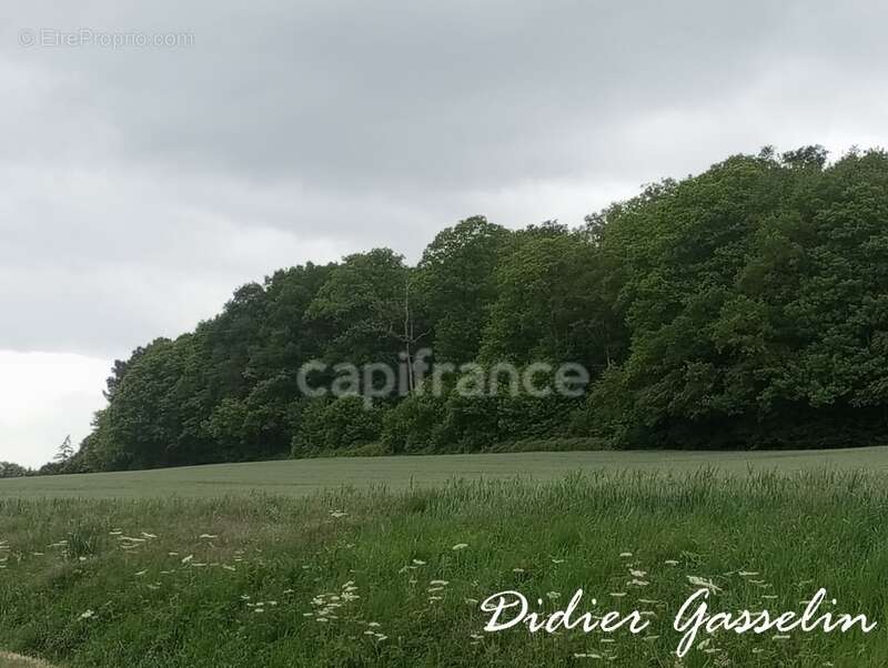 Terrain à vendre  BRUNELLES (28) - photo 4