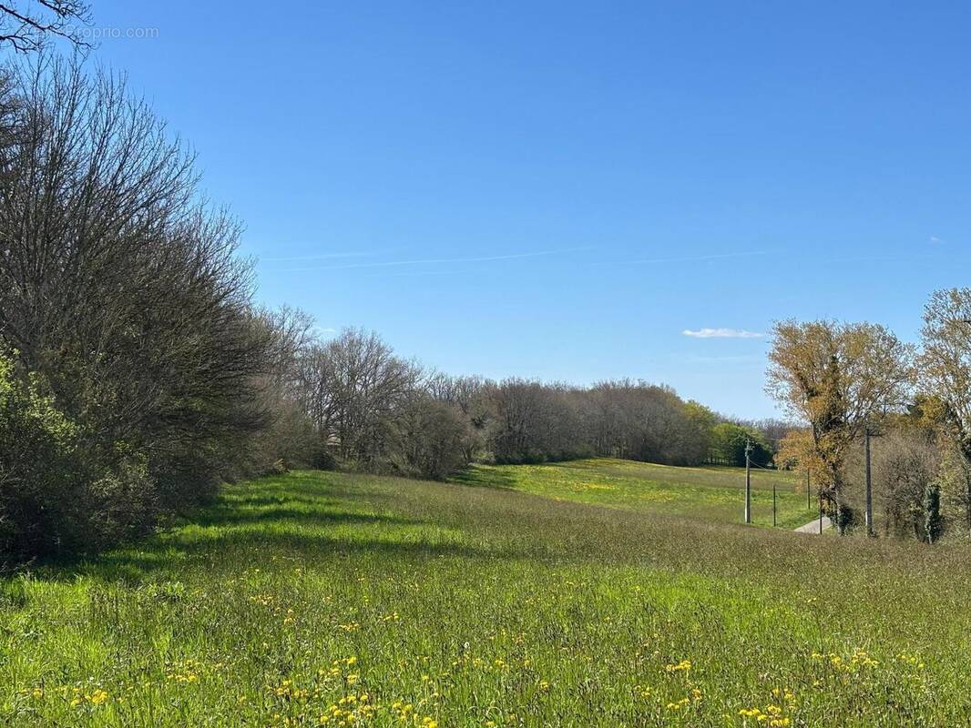 Photo 1 - Terrain à LE VIGAN