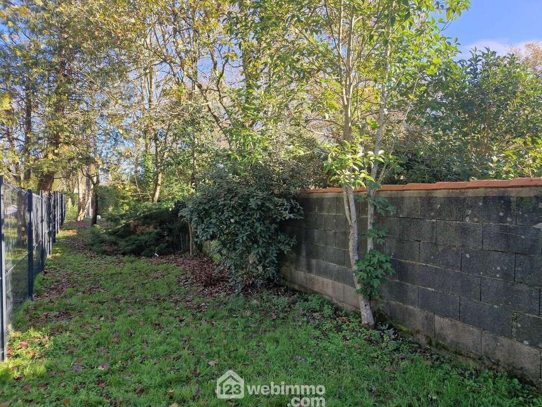 Terrain à LES CLOUZEAUX