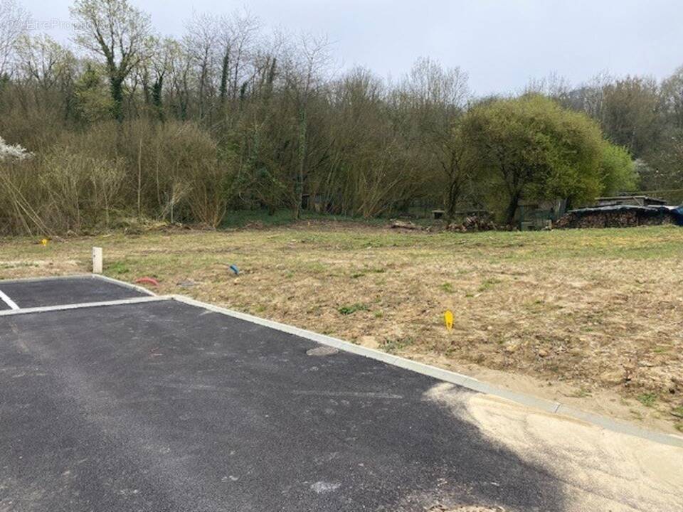 Terrain à SAINTINES