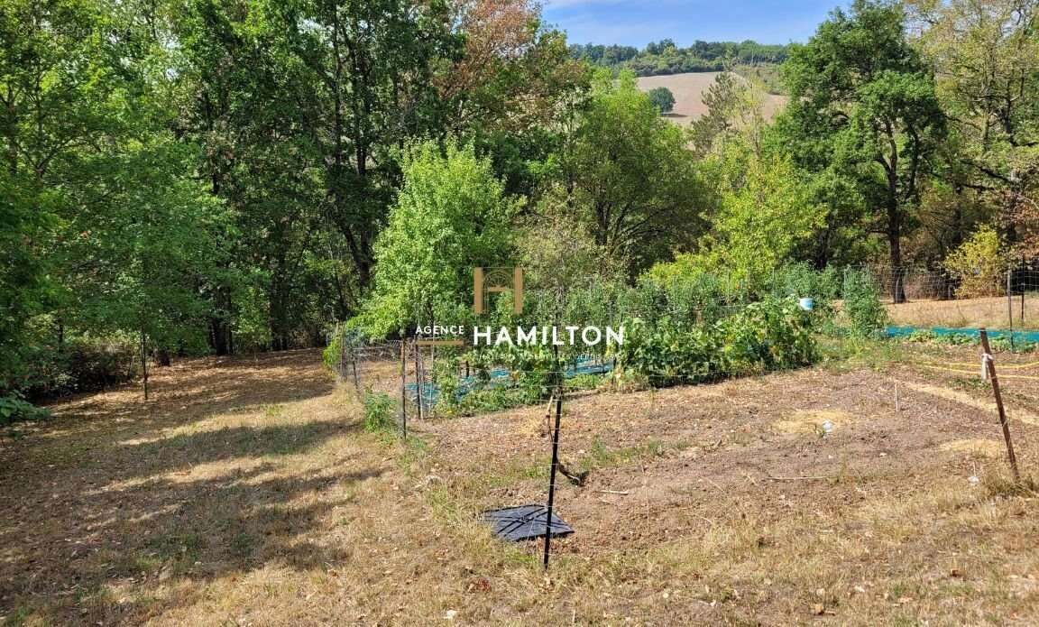 Maison à CORDES-SUR-CIEL